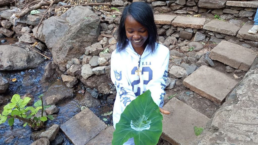 img 20260124 174057 993