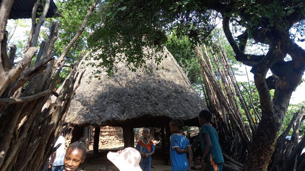 img 20260124 174108 104