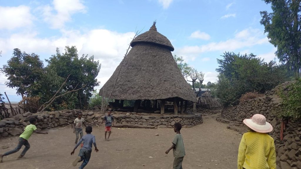 img 20260124 174128 735