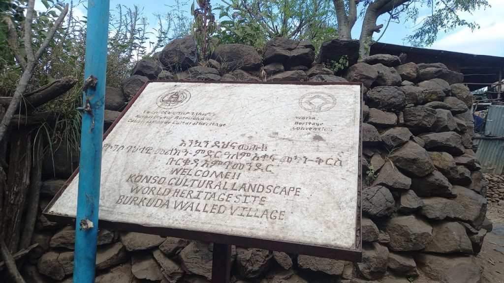 img 20260124 174134 129